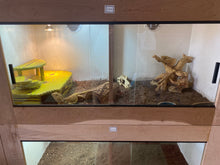 Load image into Gallery viewer, Double Layer Hide (Over 40 gallon tanks)