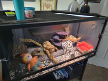 Load image into Gallery viewer, Double Layer Hide (Over 40 gallon tanks)