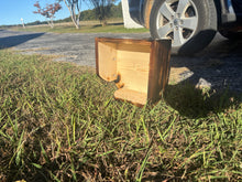 Load image into Gallery viewer, Rustic Reptile Hides (NEW!)