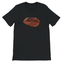 Load image into Gallery viewer, 58cb4821-e77e-491d-903e-04ee9164f177