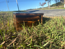 Load image into Gallery viewer, Rustic Reptile Hides (NEW!)