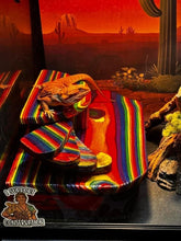 Load image into Gallery viewer, Double Layer Hide (Over 40 gallon tanks)