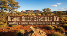 Load image into Gallery viewer, Dragon Smart Essentials Kit for 4x2x2 (Top of Screen)