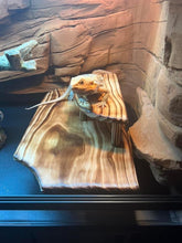 Load image into Gallery viewer, Double Layer Hide (Over 40 gallon tanks)