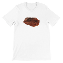 Load image into Gallery viewer, ce825de0-d8d3-4db4-8edd-00af8ba124d1