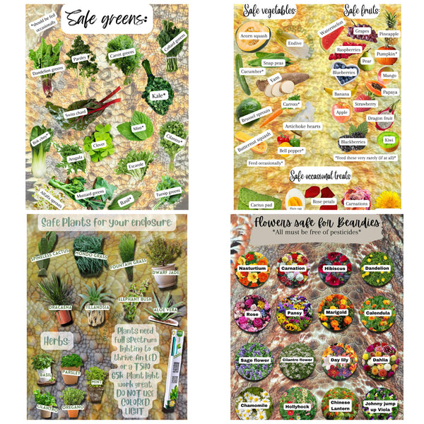 Safe Greens, Fruit, & Plants, & Flower Graphics (Click “See More” to See All Graphics)