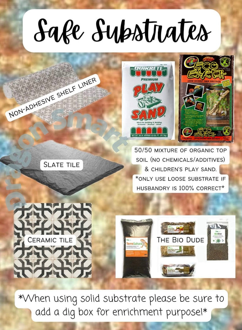 Bearded Dragon Safe Substrate Graphic (Click “See More” to see both gr