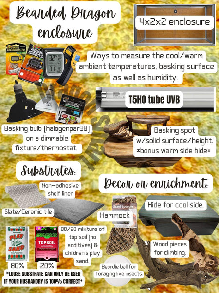 Bearded Dragon Shopping List