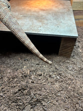Load image into Gallery viewer, RESCUE Female (Scarlett)
