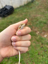 Load image into Gallery viewer, Possible Female (Sophia)
