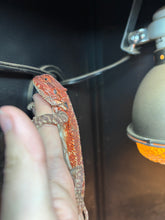 Load image into Gallery viewer, Red Monster Male (Rocket)
