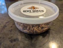 Load image into Gallery viewer, Live Organic Black Soldier Fly Larvae
