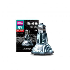 75 Watt Arcadia Halogen Flood Lamp